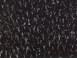 Untitled - acrylic on paper, 70x100cm, 1989